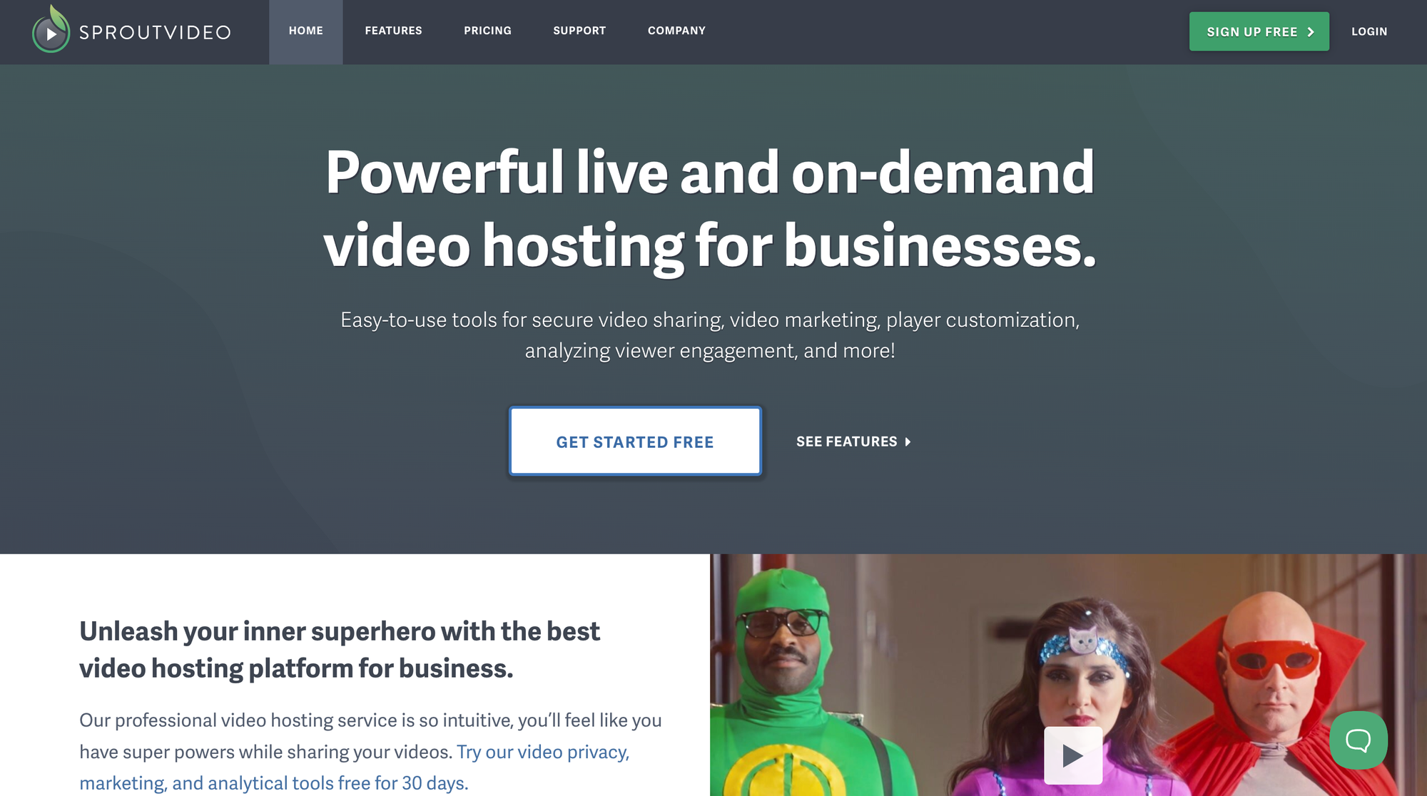 SproutVideo is a video hosting site that caters to businesses looking for live streaming with useful data.